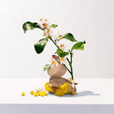 Shower Gel Néroli (200 ml) - Roger & Gallet Maroc - Aylal Beauty